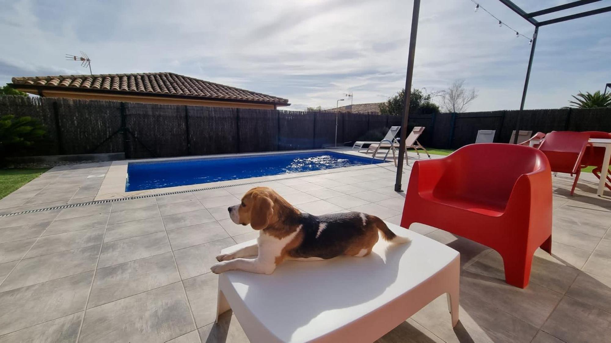 Villas Medes Mar - Plus Costa Brava L'Estartit Eksteriør billede