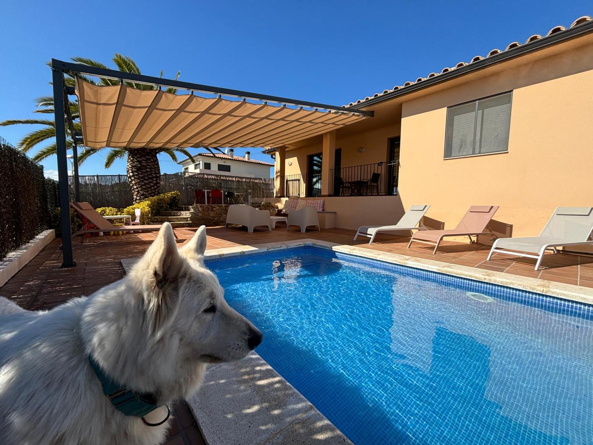 Villas Medes Mar - Plus Costa Brava L'Estartit Eksteriør billede